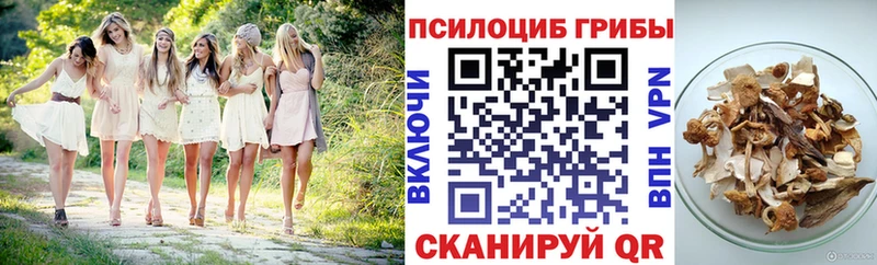 Псилоцибиновые грибы мухоморы  наркотики  Белая Калитва 