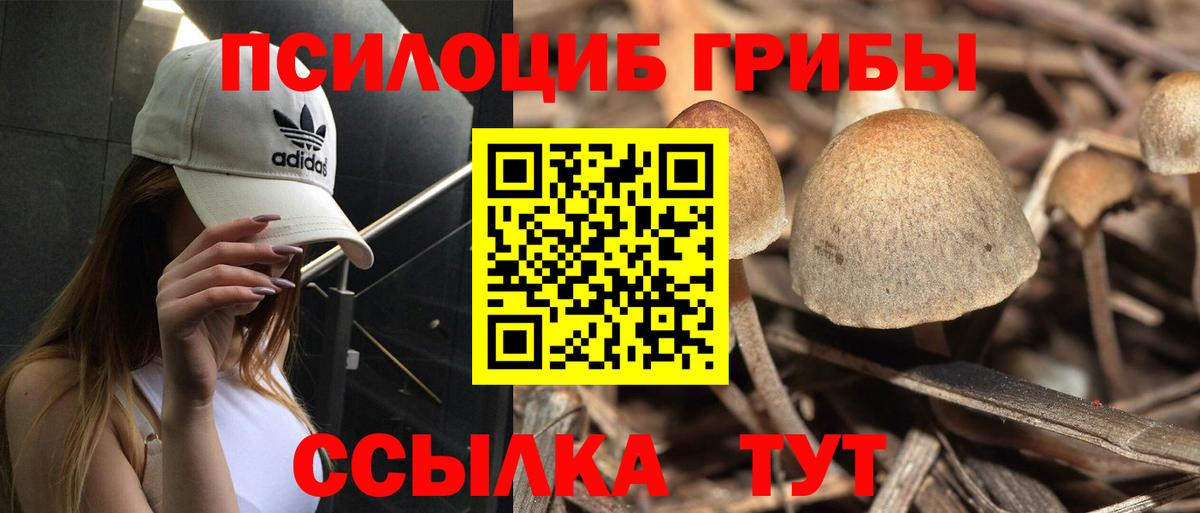 Галлюциногенные грибы Psilocybine cubensis Белая Калитва