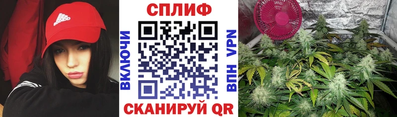 Марихуана тримм  где найти   Белая Калитва 